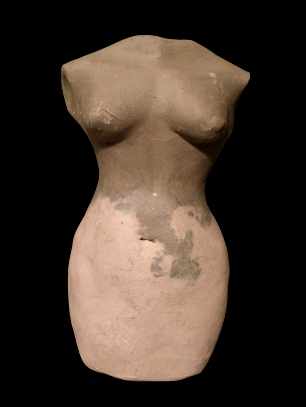 Torso